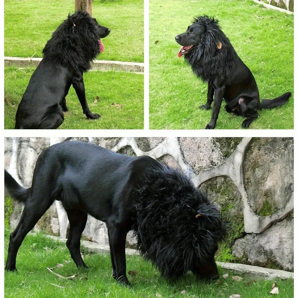 Kostium Czarna Lwia Grzywa