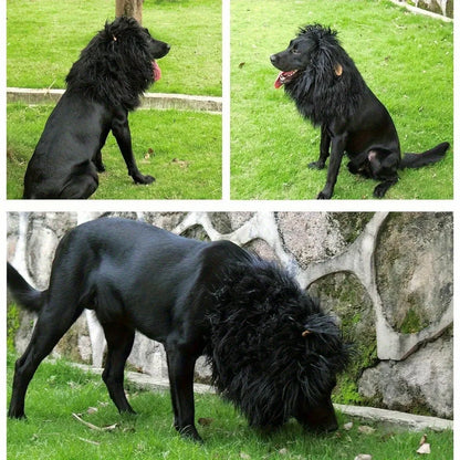 Kostium Czarna Lwia Grzywa